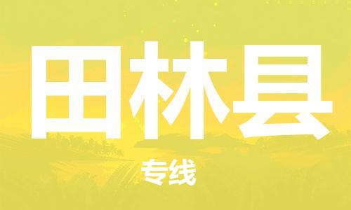 廣州到田林縣物流公司|廣州至田林縣貨運(yùn)專線 廣州到田林縣物流公司|廣州至田林縣貨運(yùn)專線