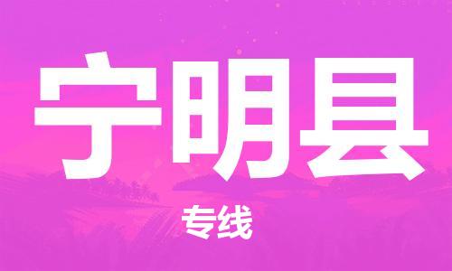 廣州到寧明縣物流公司|廣州至寧明縣貨運專線